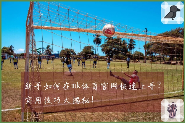 新手如何在mk体育官网快速上手？实用技巧大揭秘！