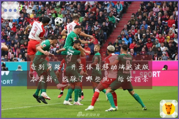 告别弯路！开云体育移动端这波版本更新，我踩了哪些坑，给你指条明路