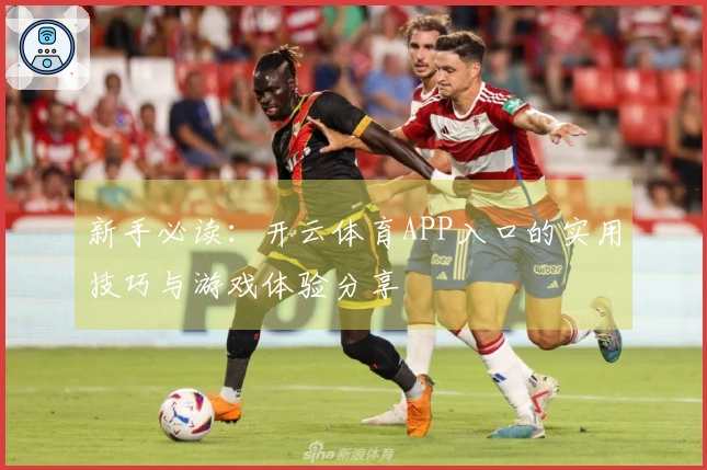 新手必读：开云体育APP入口的实用技巧与游戏体验分享